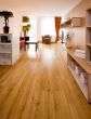 Project Floors floors@home/20 - PW1231 -