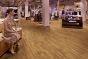 Project Floors floors@home/40 - PW2002 -