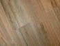 Future Oak mit Trittschalldämmung (wood branch)